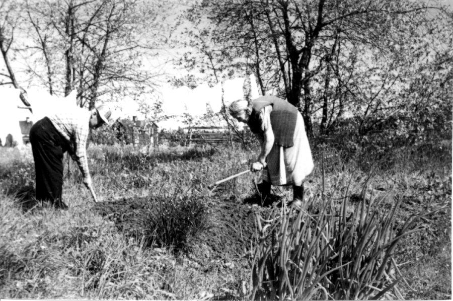 Historiskt fotografi från Högbonden (93)