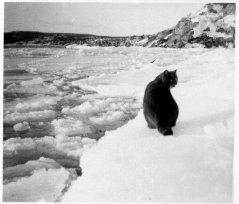 Historiskt fotografi från Högbonden